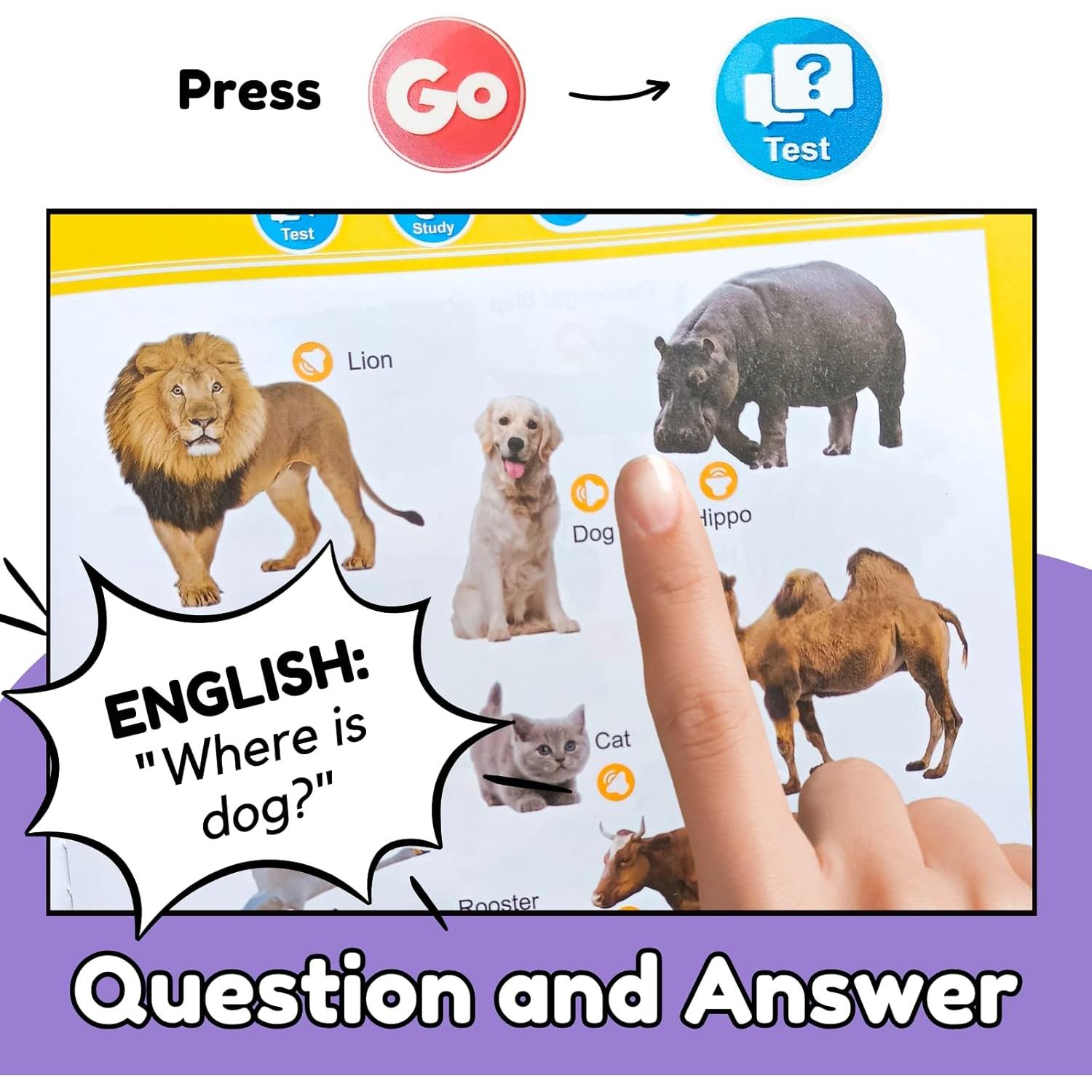 Libro Electrónico de Aprendizaje de Inglés ZeenKind 300+ Palabras