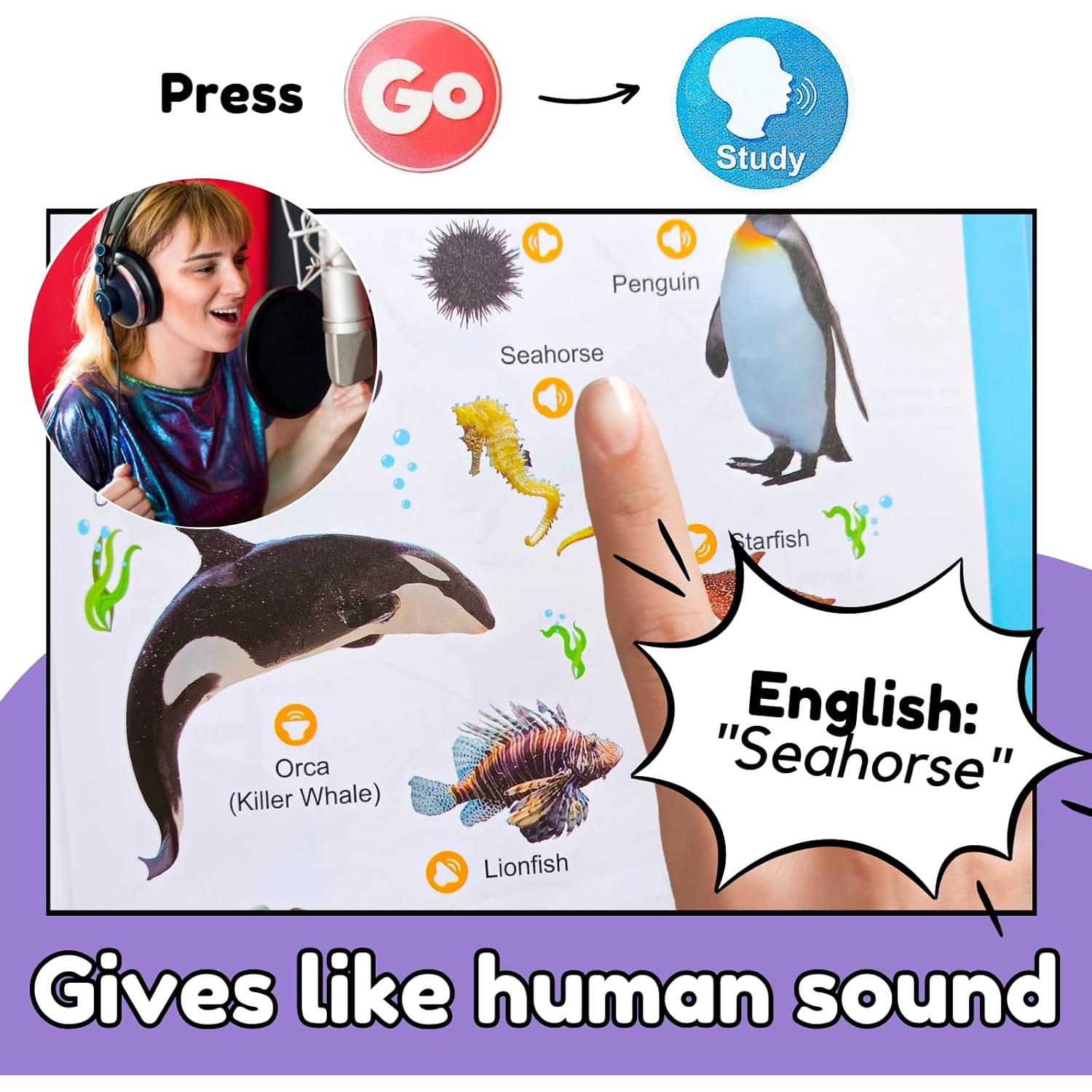 Libro Electrónico de Aprendizaje de Inglés ZeenKind 300+ Palabras