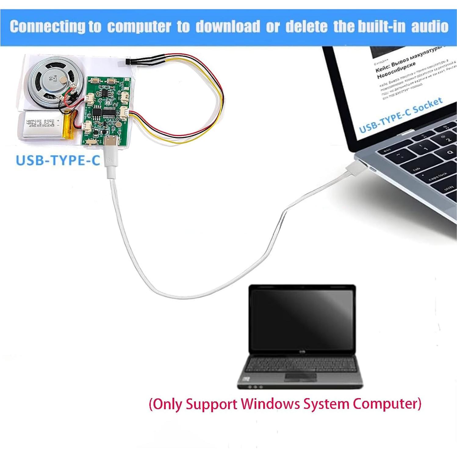 Módulo de Música Gikfun Activado por Imán 16MB USB-C