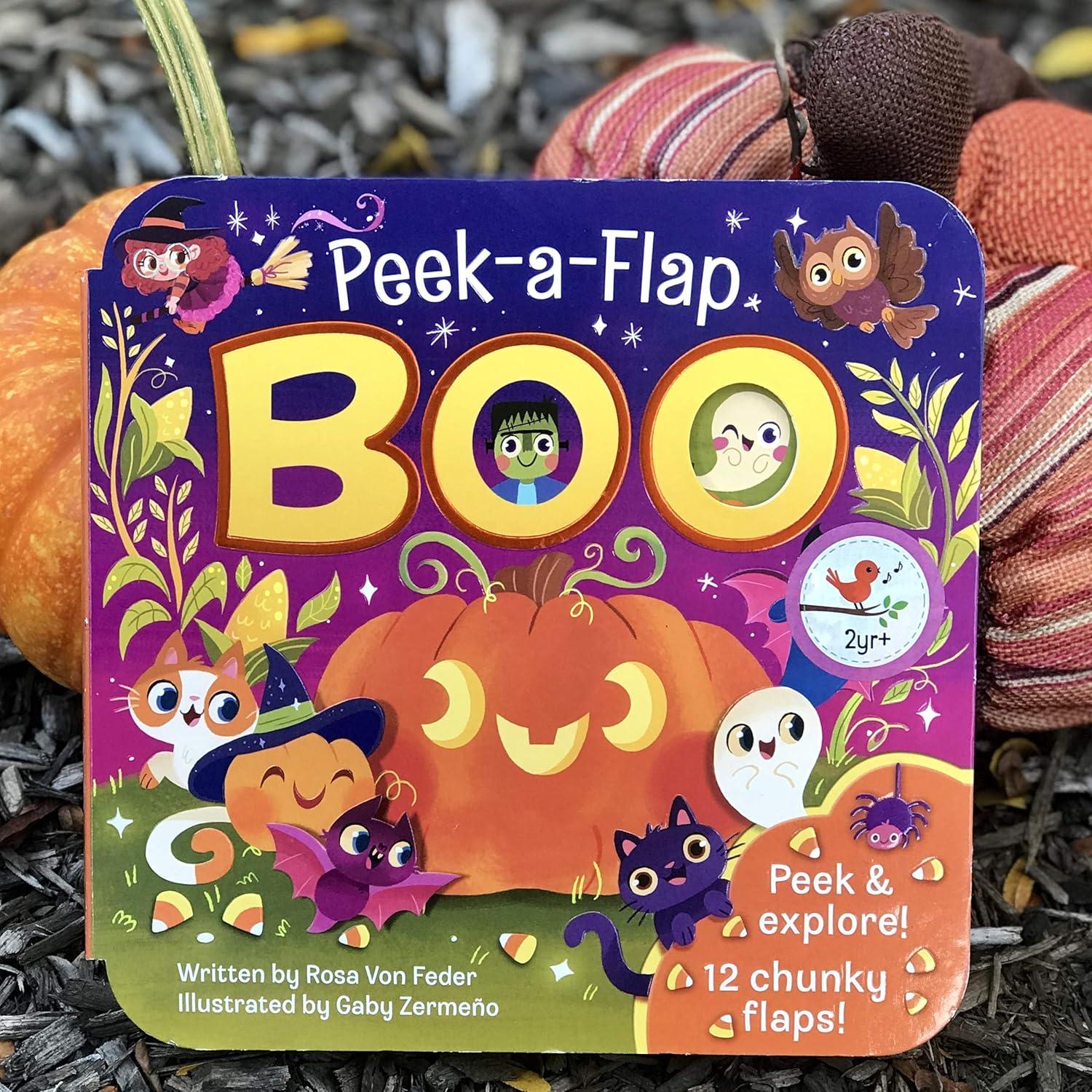 Boo Halloween Lift-a-Flap Board Book Ages 0-4
