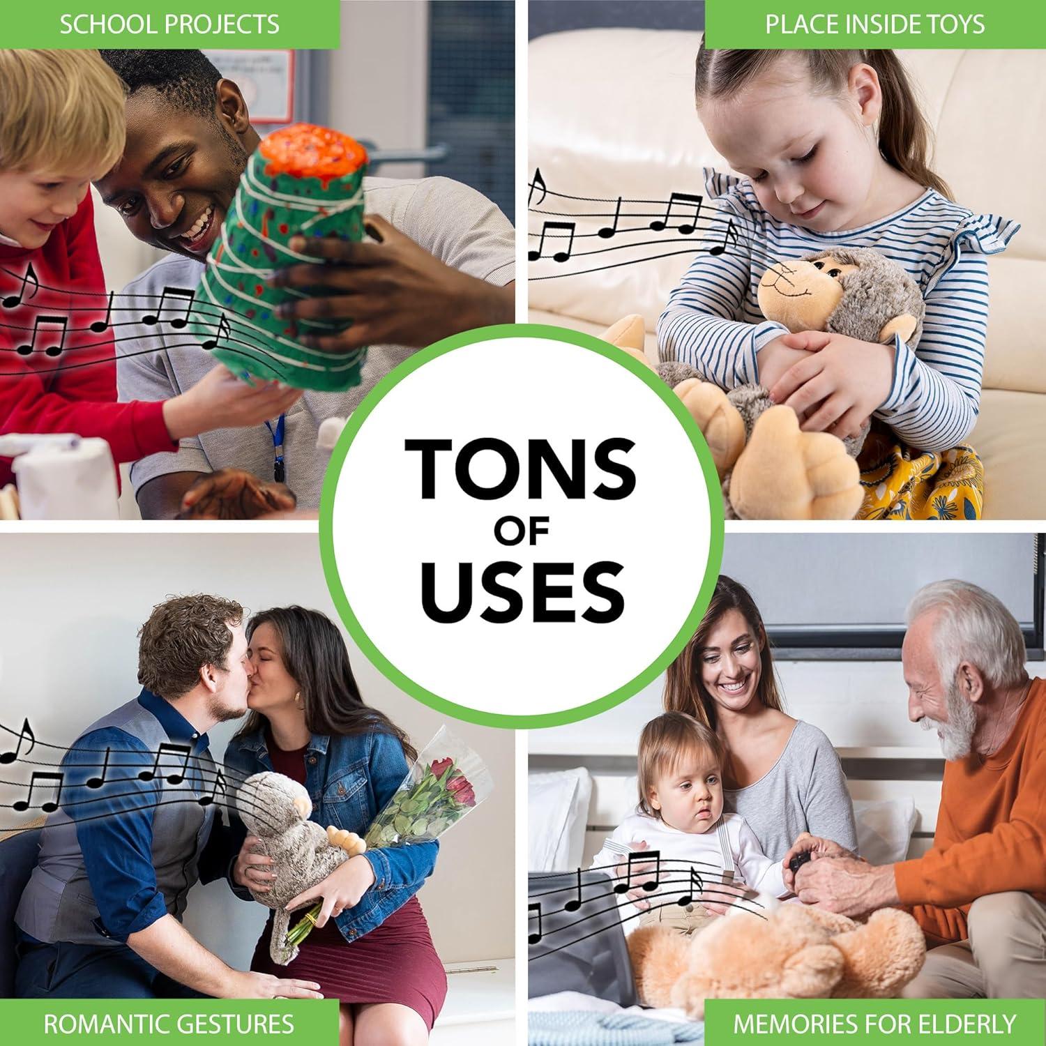 Módulo de Sonido Friendly Songs para Animales de Peluche - 2 Horas