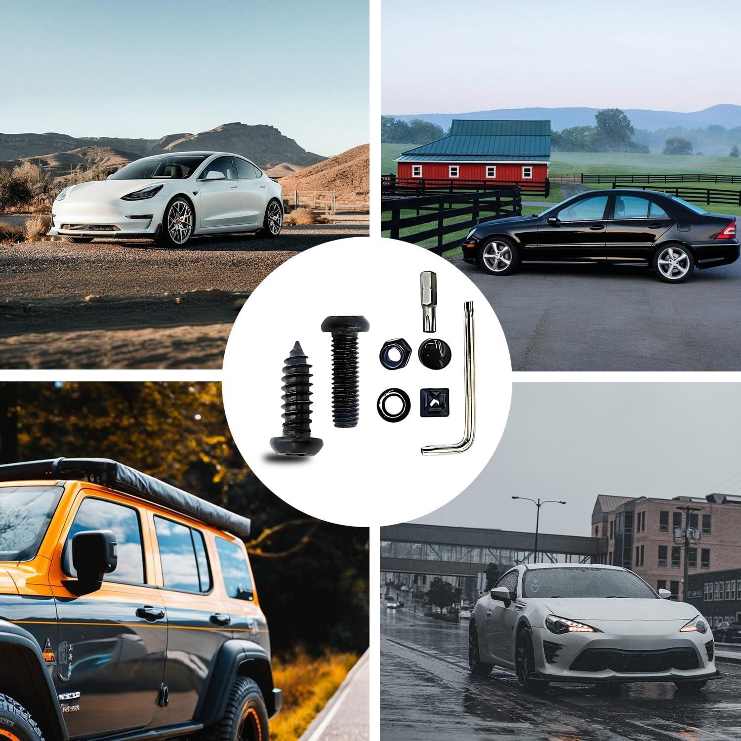 Tornillos Antirrobo QKWL para Placas de Matrícula - Acero Inoxidable