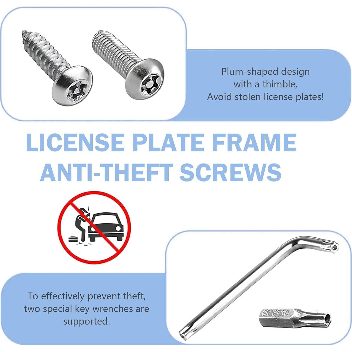 Kit de Tornillos Antirrobo para Placas de Matrícula Merdege 43 Piezas