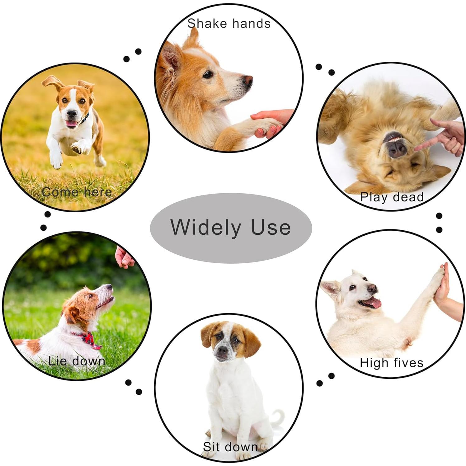 Clicker de Entrenamiento para Mascotas HoAoOo con Silbato y Correa