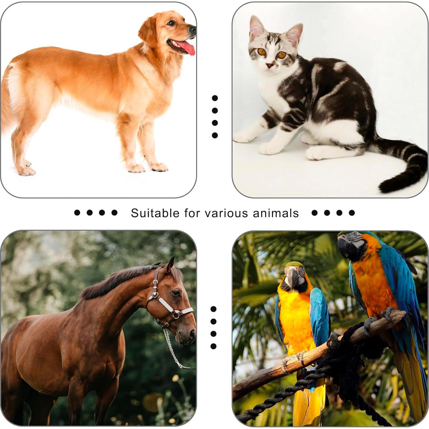 Clicker de Entrenamiento para Mascotas HoAoOo con Silbato y Correa