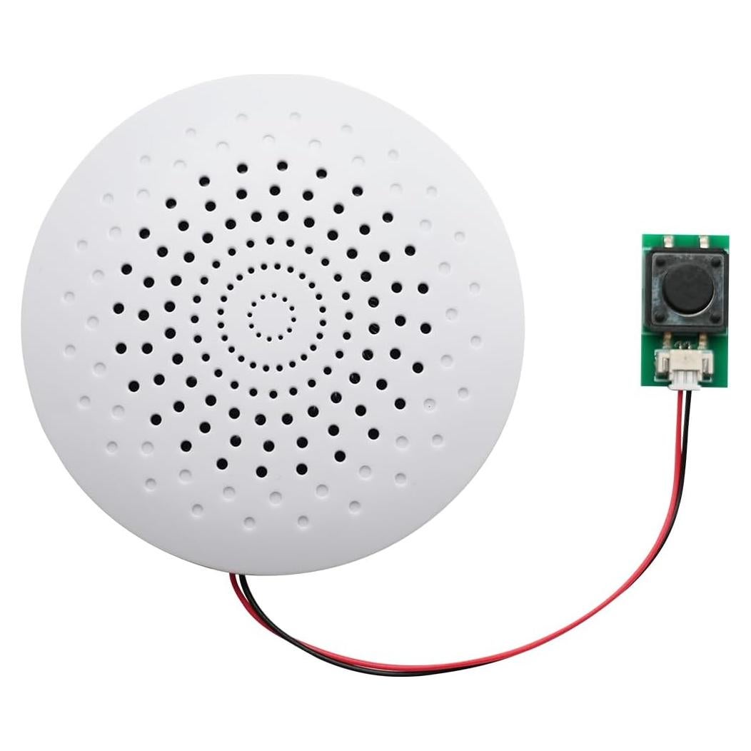 Módulo de Sonido USB JRGKJCP 8MB Grabación Portátil