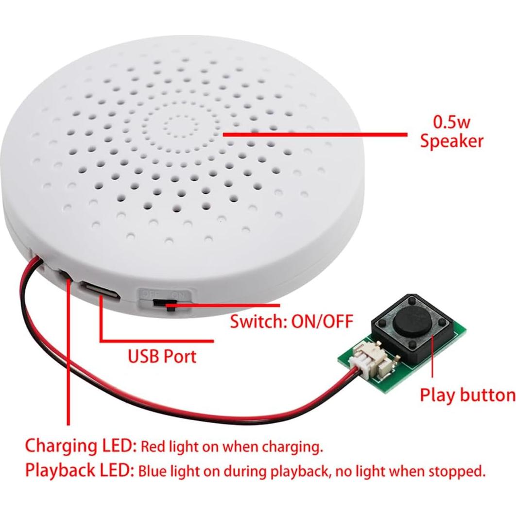 Módulo de Sonido USB JRGKJCP 8MB Grabación Portátil