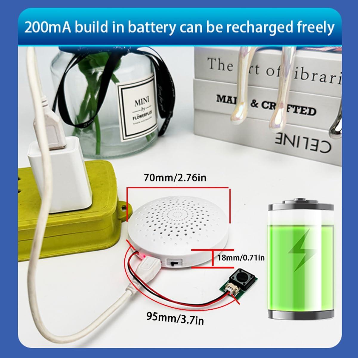 Módulo de Sonido USB JRGKJCP 8MB Grabación Portátil