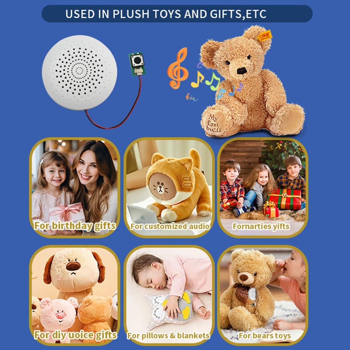 Módulo de Sonido USB JRGKJCP 8MB Grabación Portátil