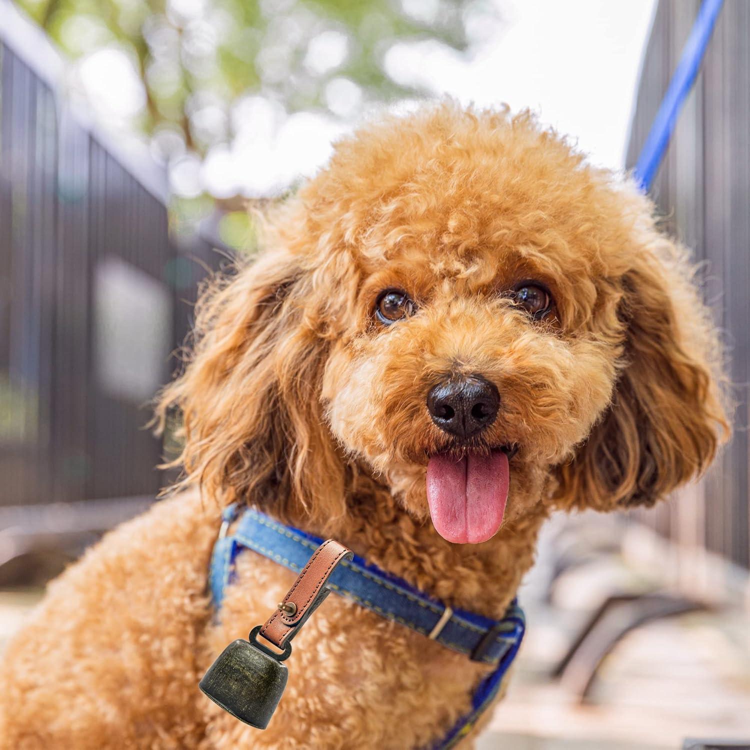 Collar con Campana Anti-Pérdida MrMrKura para Mascotas
