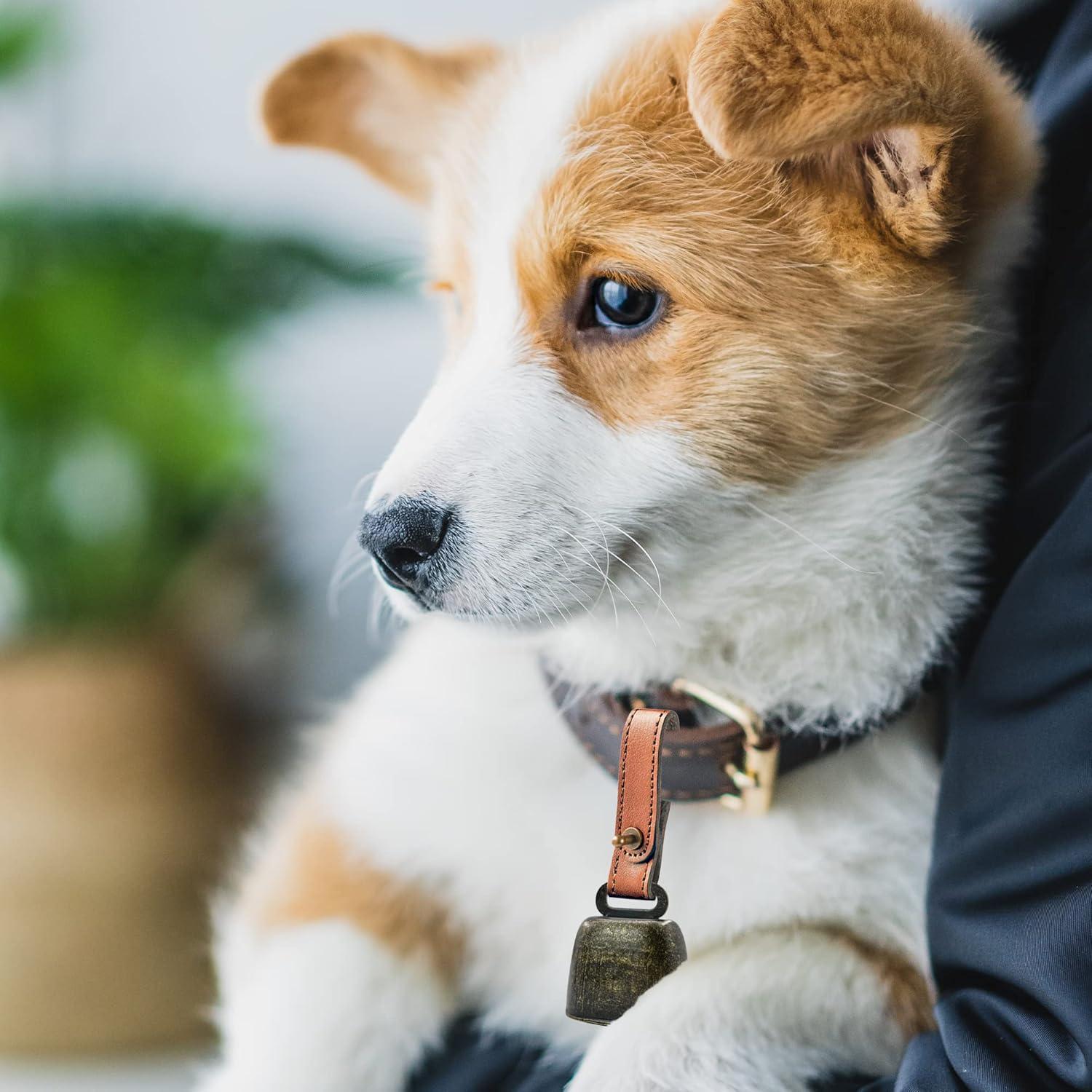 Collar con Campana Anti-Pérdida MrMrKura para Mascotas