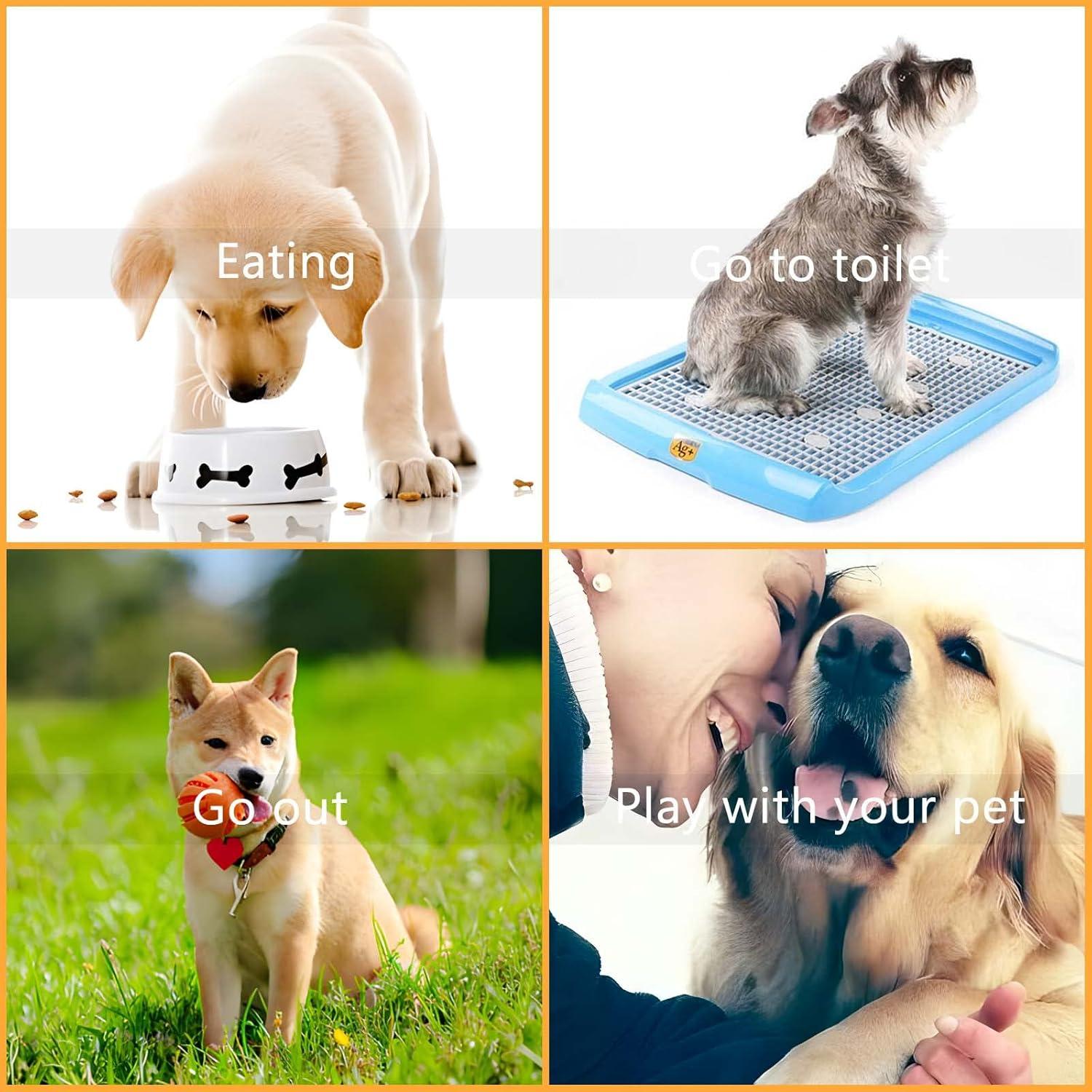 Paquete de 2 Timbres de Llamada LNAUJS Metal 8.5 cm Amarillo