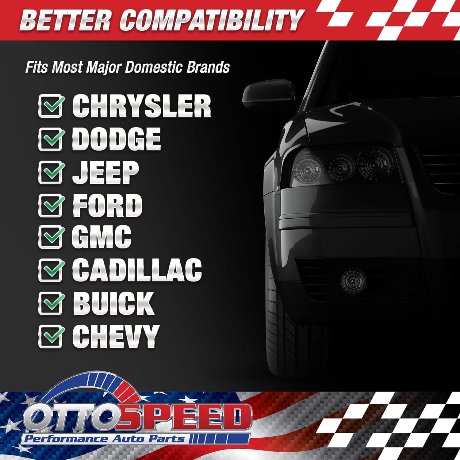 Kit de Tornillos y Tapas de Matrícula OttoSpeed - 12 Piezas Acero Inoxidable