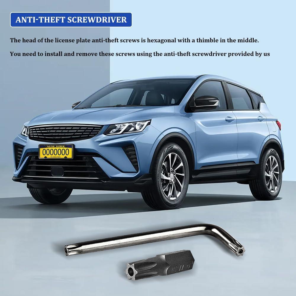 Tornillos Antirrobo para Placas de Matrícula RGOAANC - Kit Completo