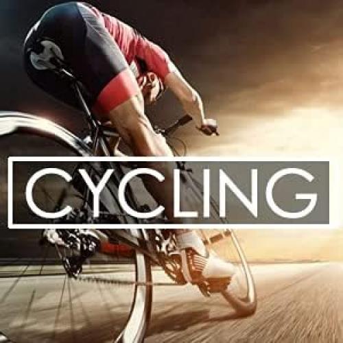 Gafas de sol bifocales de seguridad Bikershades +2.50 con acolchado