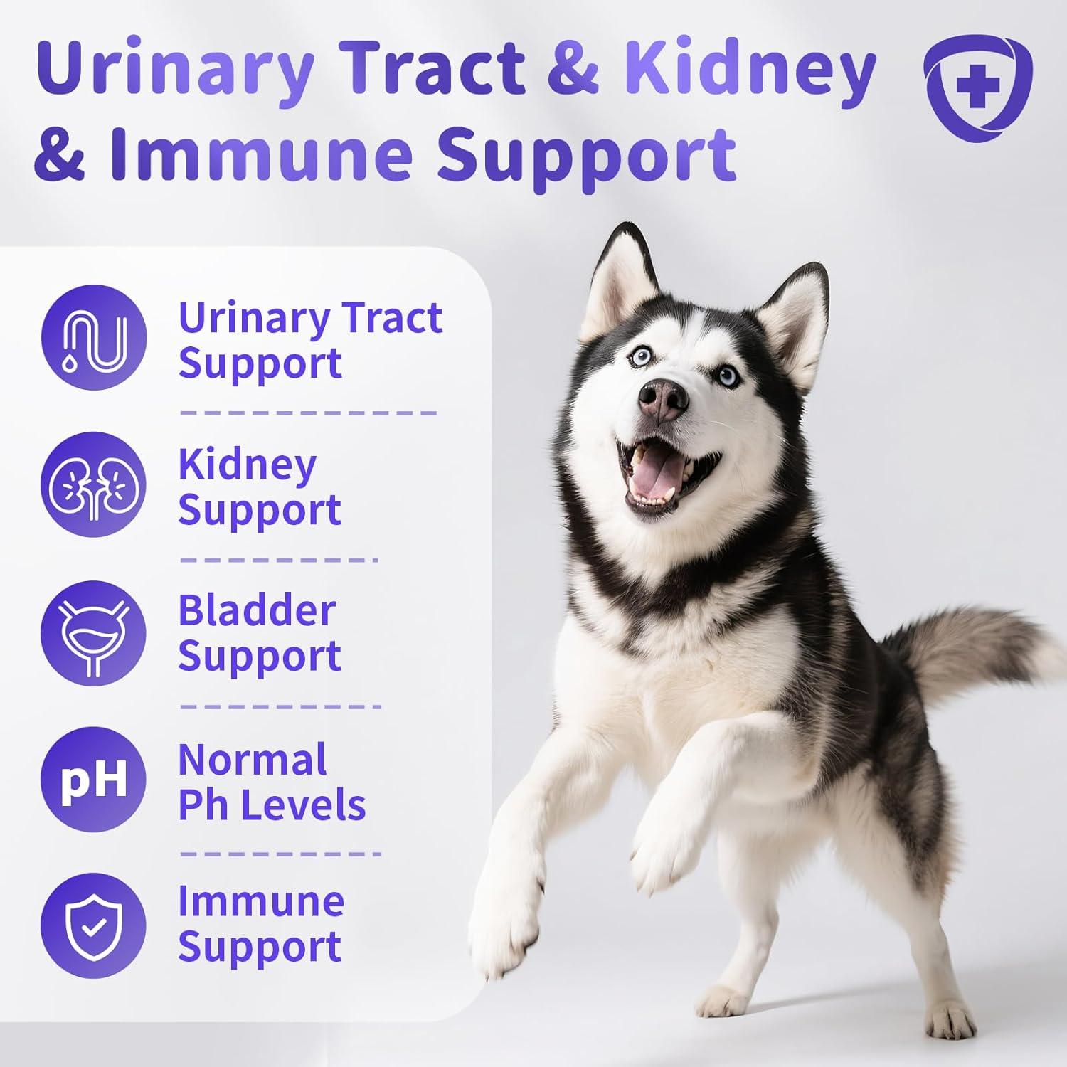 Suplemento Urinario para Perros POPPAW - Arándano y D-Mannosa, 90 Masticables