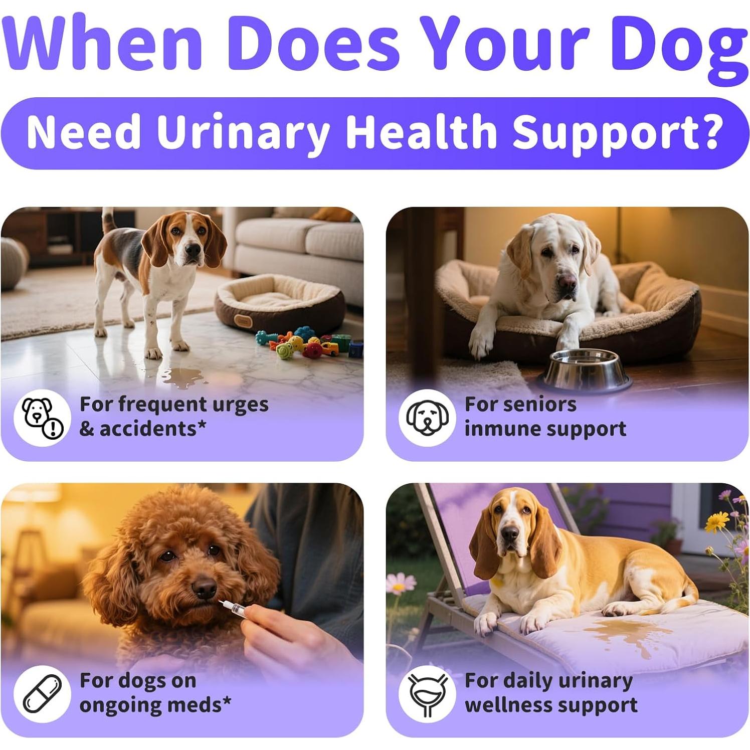 Suplemento Urinario para Perros POPPAW - Arándano y D-Mannosa, 90 Masticables