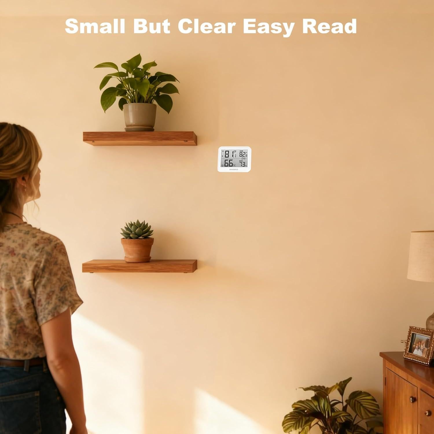 Monitor de Temperatura y Humedad INKBIRD ITH-13-B Bluetooth