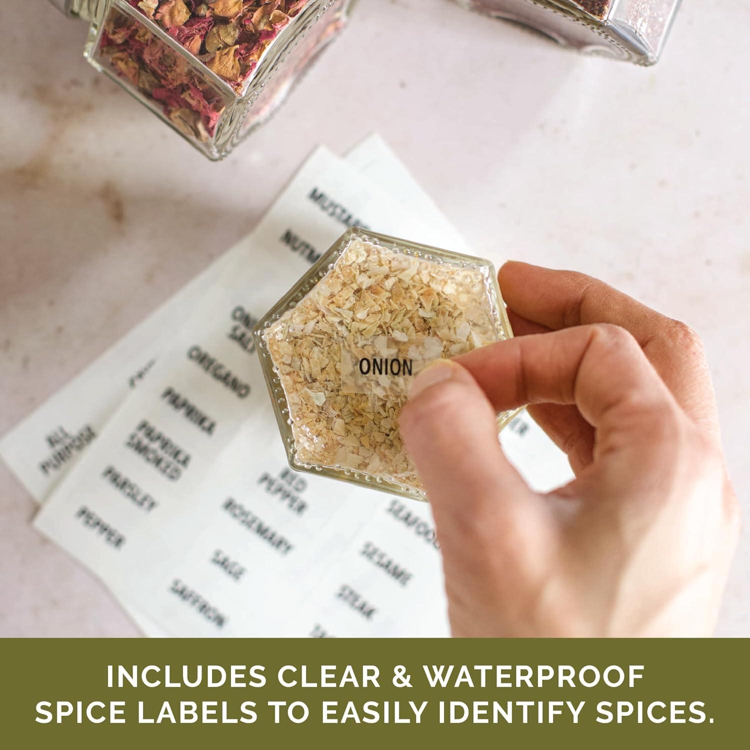 Kit Gneiss Spice de 12 Tarros Magnéticos de Especias Orgánicas