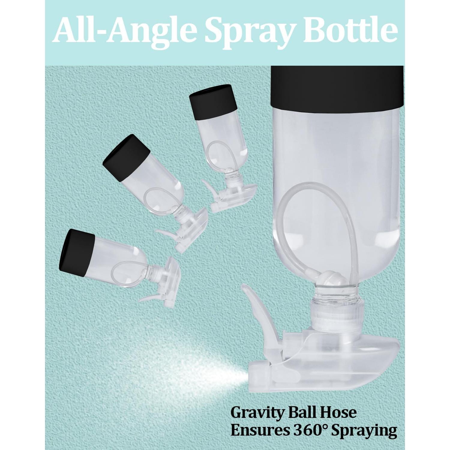 Paquete de 2 Botellas de Spray de Vidrio 473 ml TERESRY