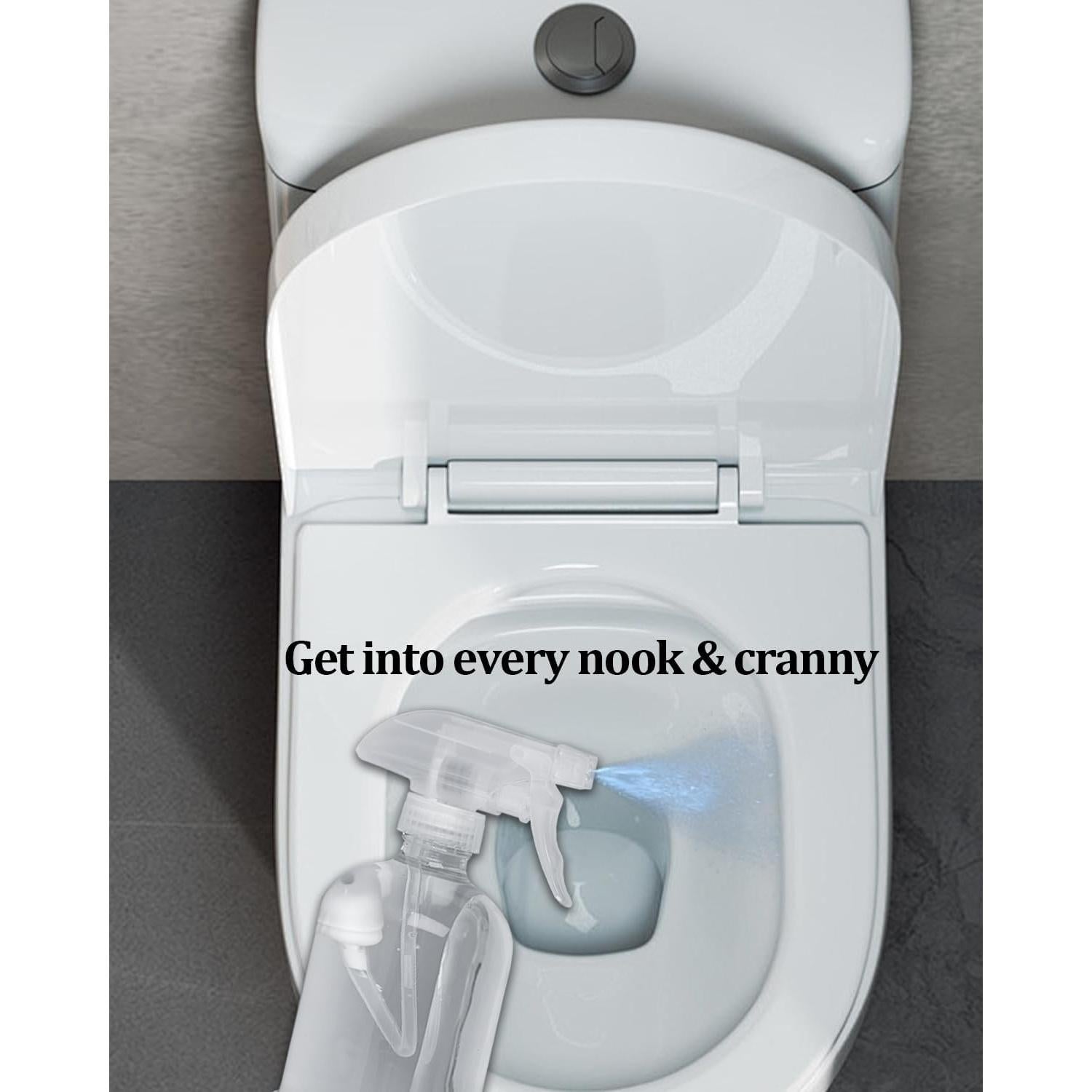 Paquete de 2 Botellas de Spray de Vidrio 473 ml TERESRY