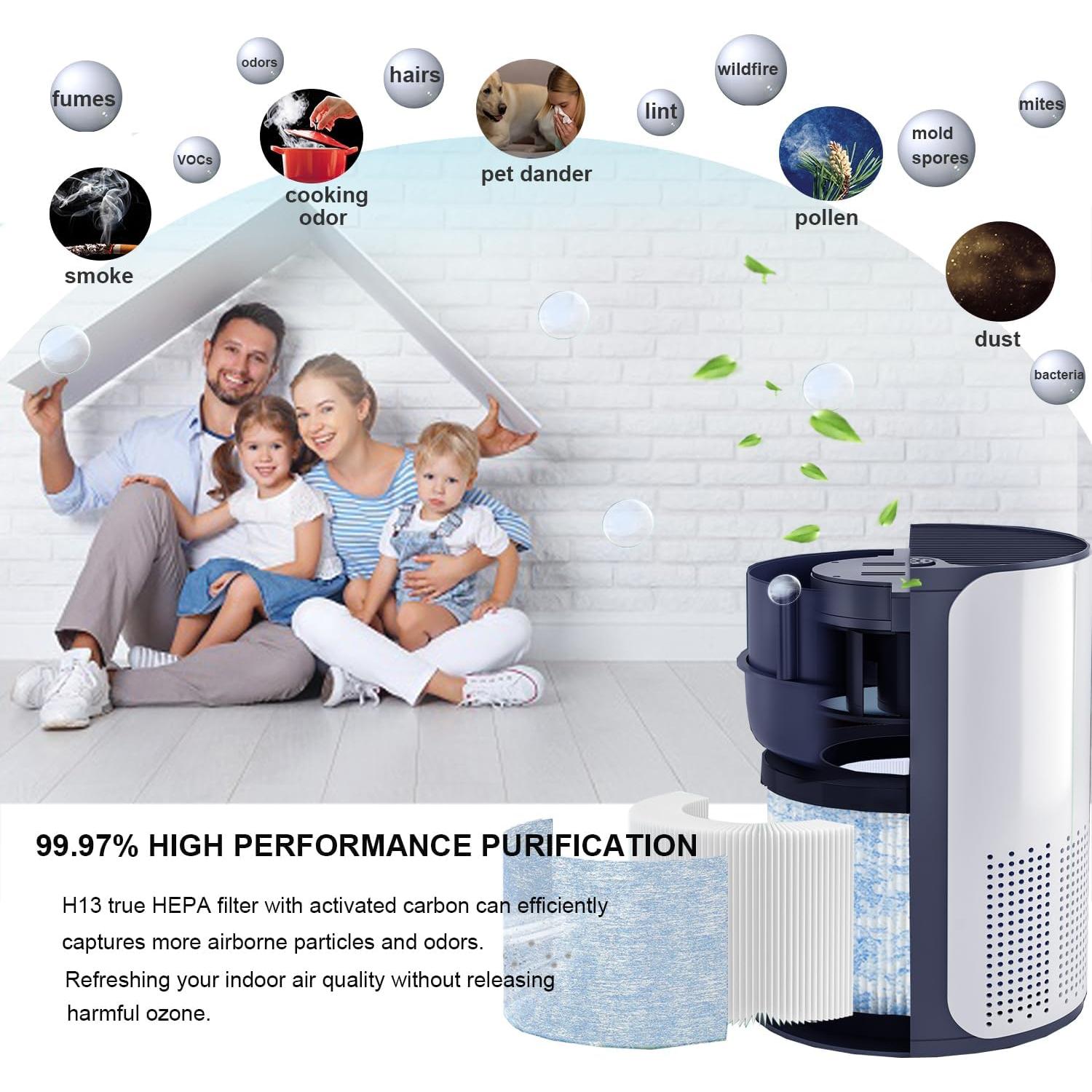 Paquete de 2 Filtros H13 True HEPA Skydiras MA-01CW para Miko Ibuki C102