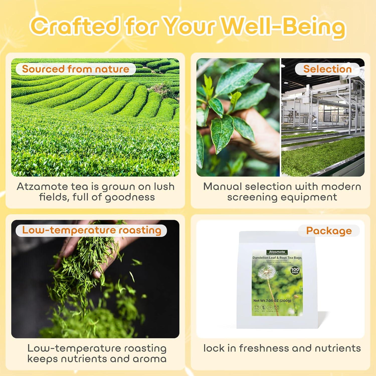 Té Herbal Detox Atzamote 100 Bolsitas Diente de León Sin Cafeína