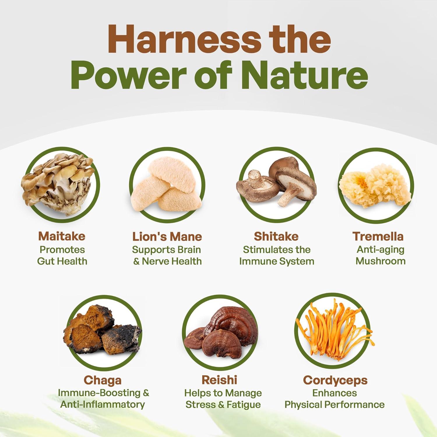 Suplemento Orgánico de 7 Hongos Go Nutra 113.4 g Vegano