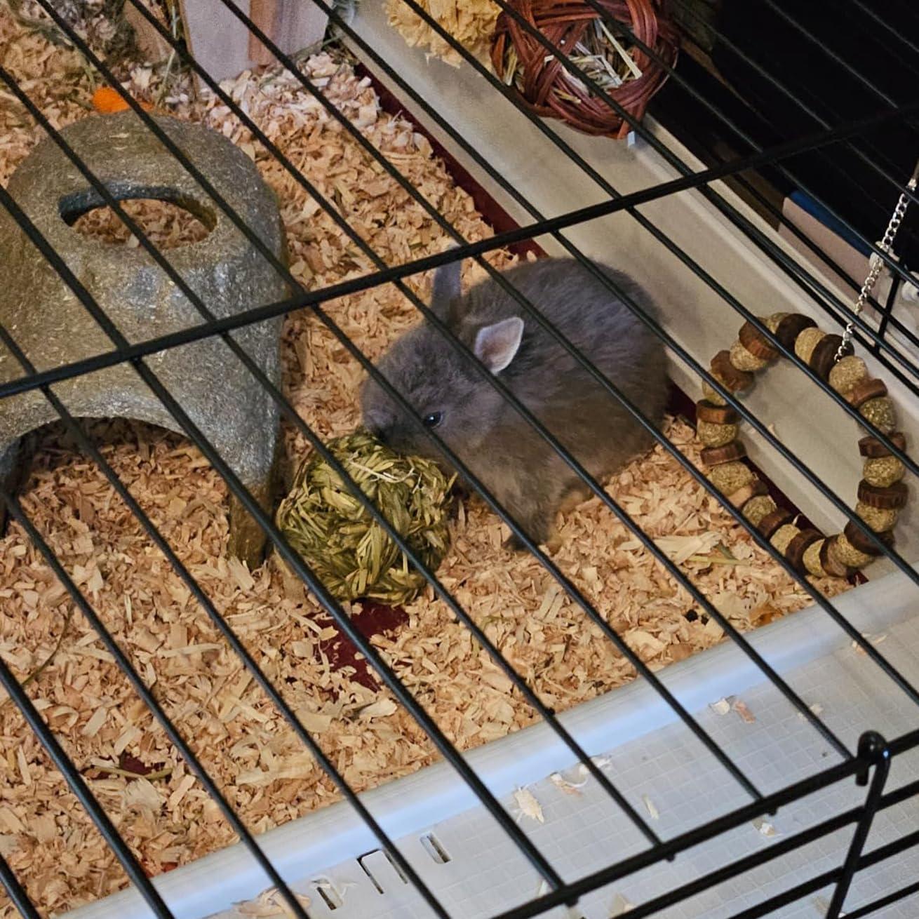 6 Bolas de Heno Timothy MUYG para Conejos y Hámsters 7.6 cm