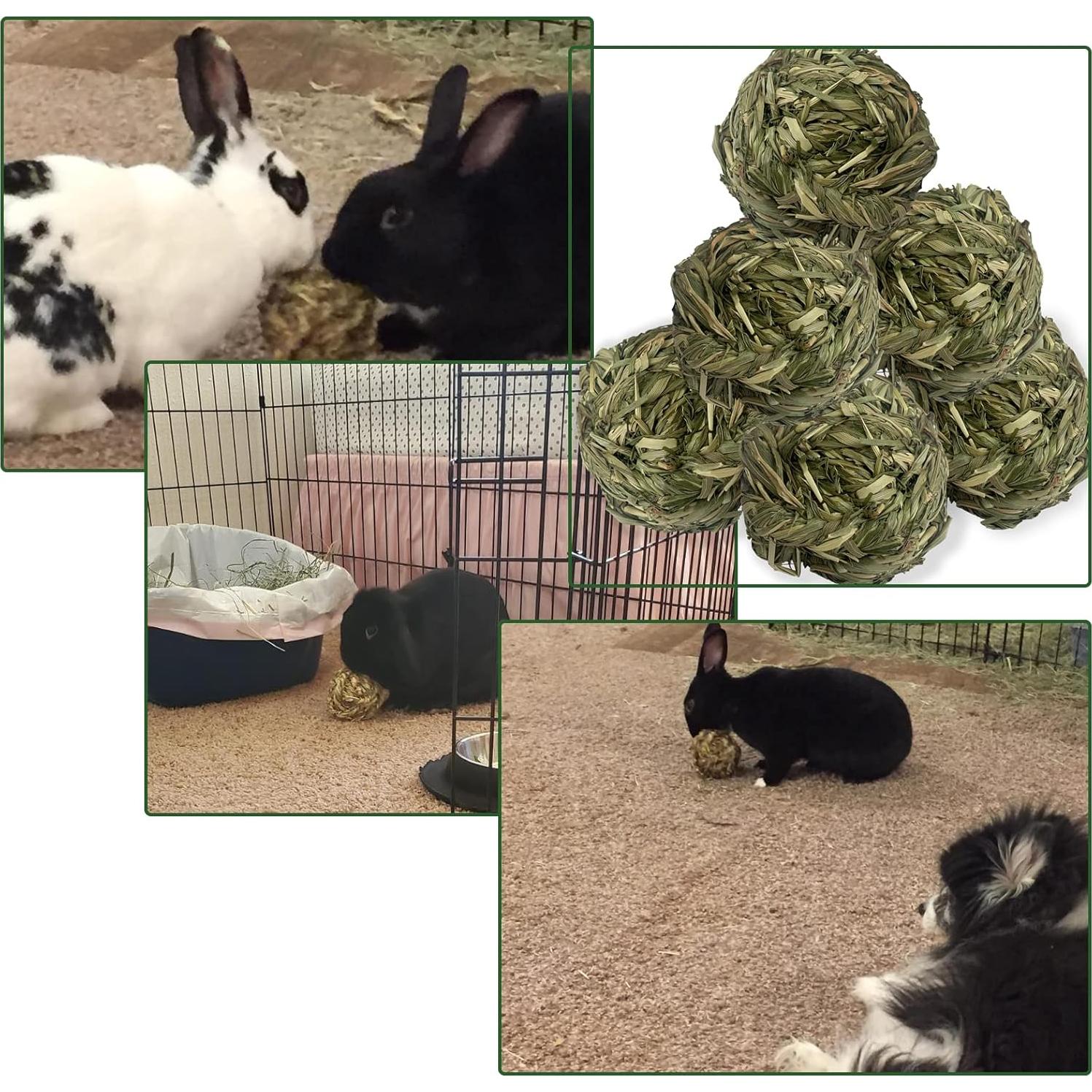 6 Bolas de Heno Timothy MUYG para Conejos y Hámsters 7.6 cm