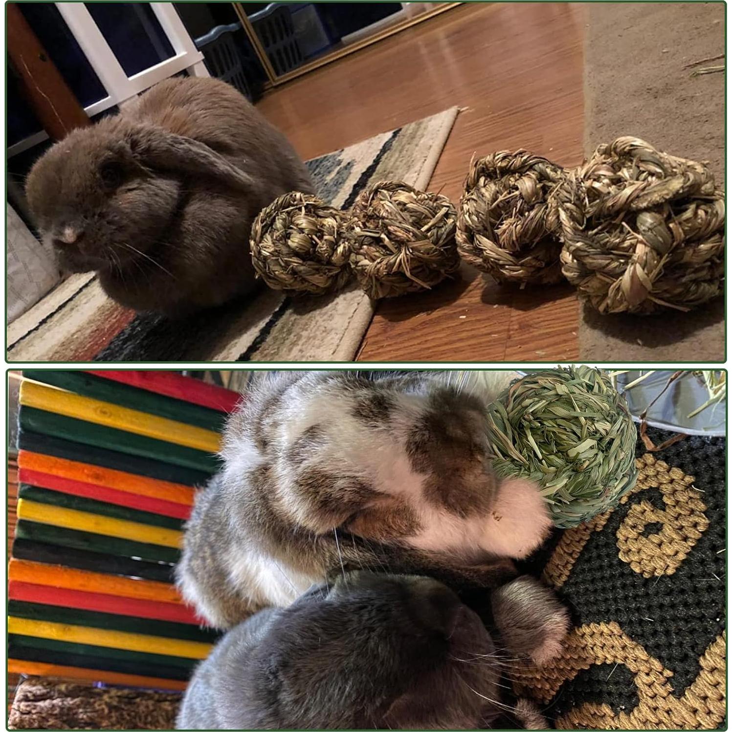 6 Bolas de Heno Timothy MUYG para Conejos y Hámsters 7.6 cm