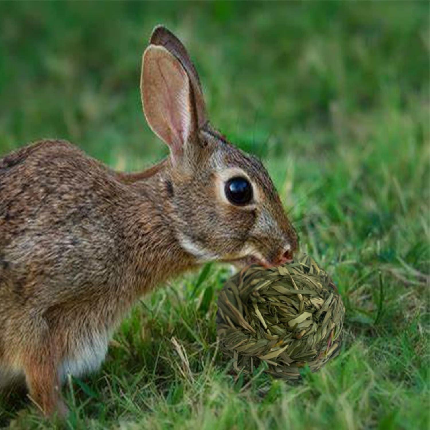 6 Bolas de Heno Timothy MUYG para Conejos y Hámsters 7.6 cm