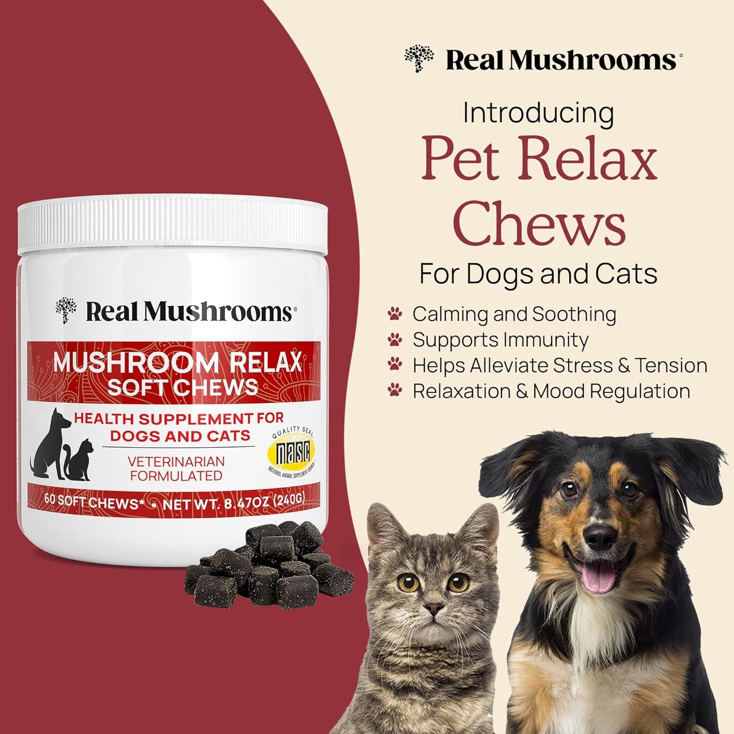 Masticables Calmantes Real Mushrooms para Perros y Gatos - 240g