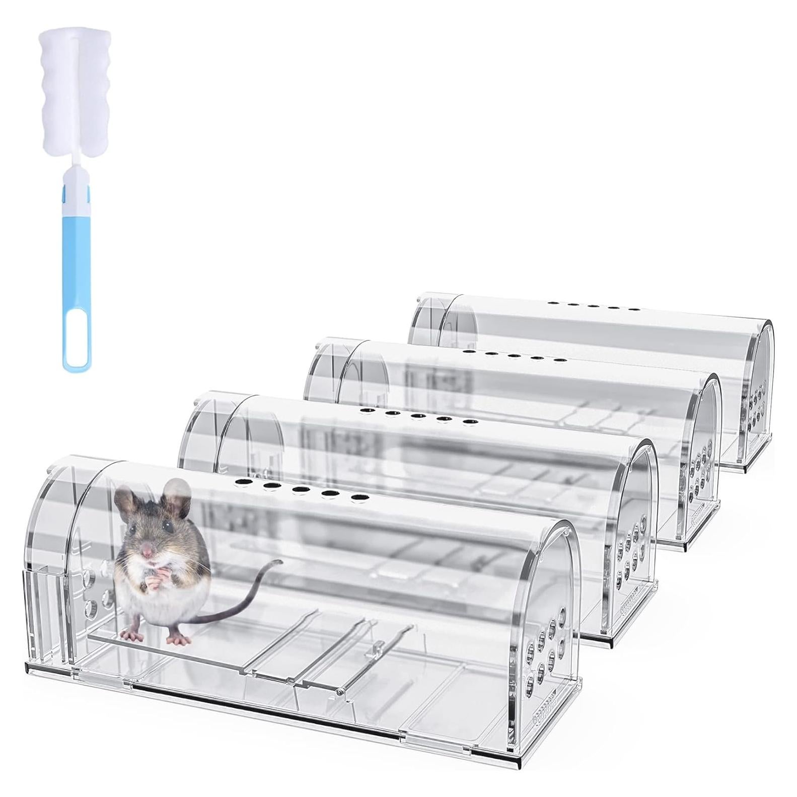 Trampas Humanas para Ratones Wanqueen 4 Pcs Reutilizables