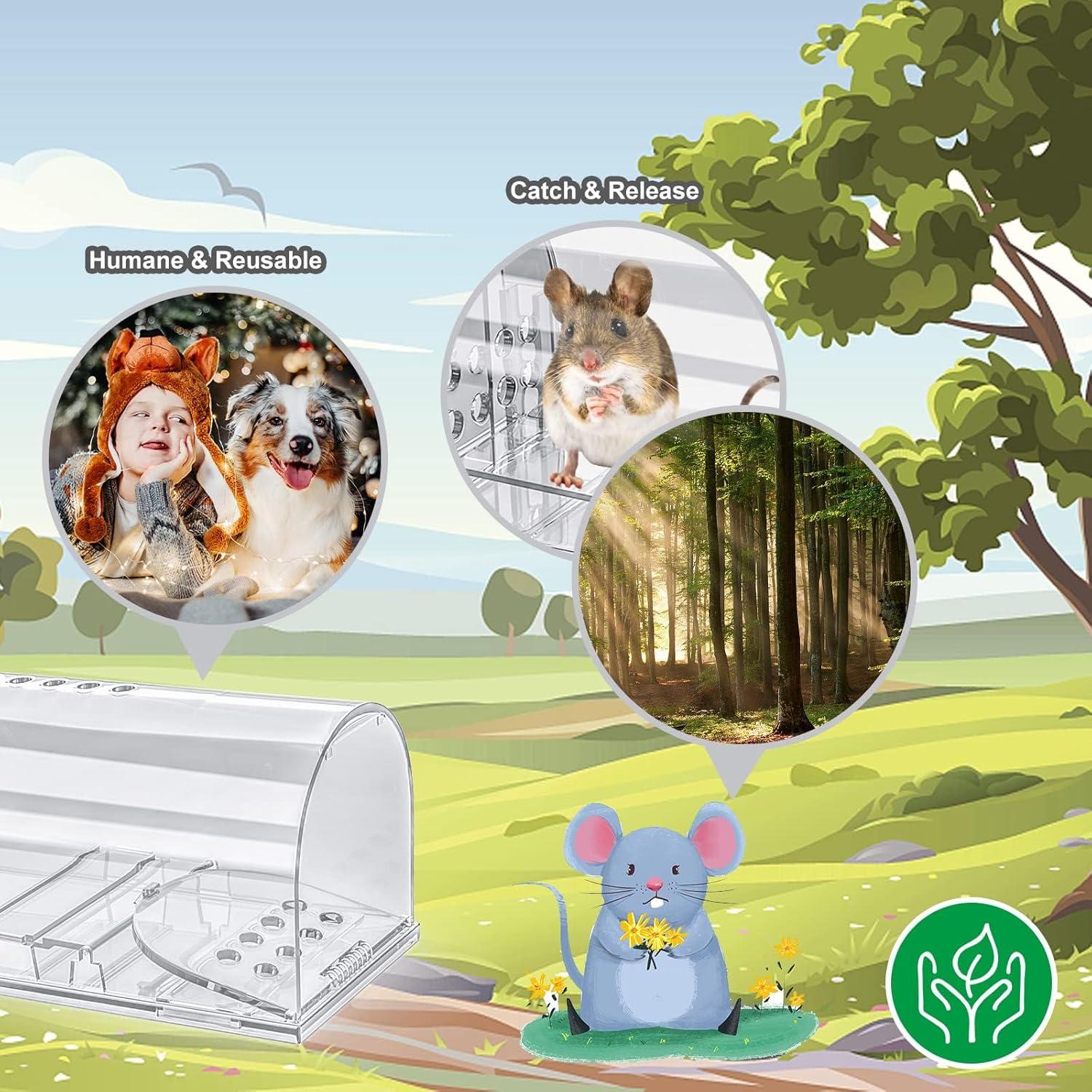 Trampas Humanas para Ratones Wanqueen 4 Pcs Reutilizables