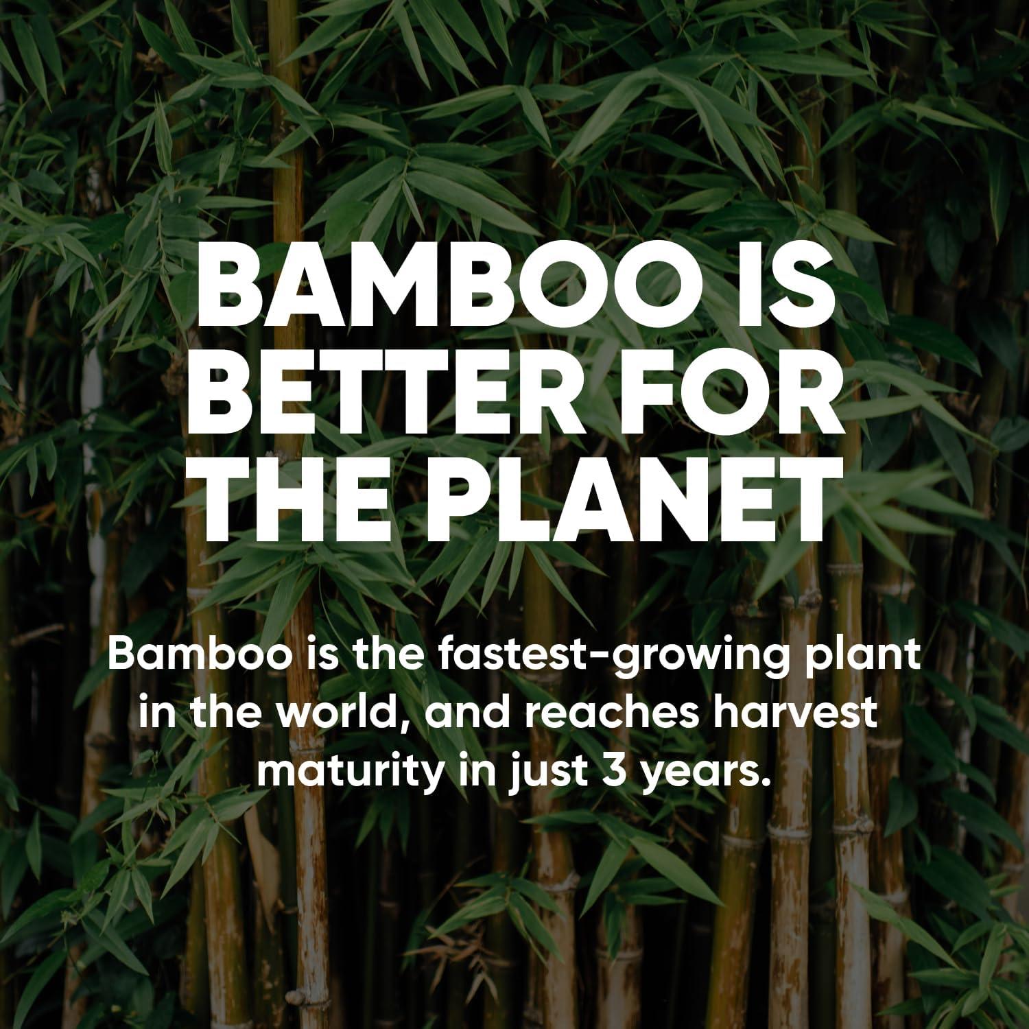 Papel Higiénico Orgánico Save Trees - 12 Rollos 3 Capas 300 Hojas