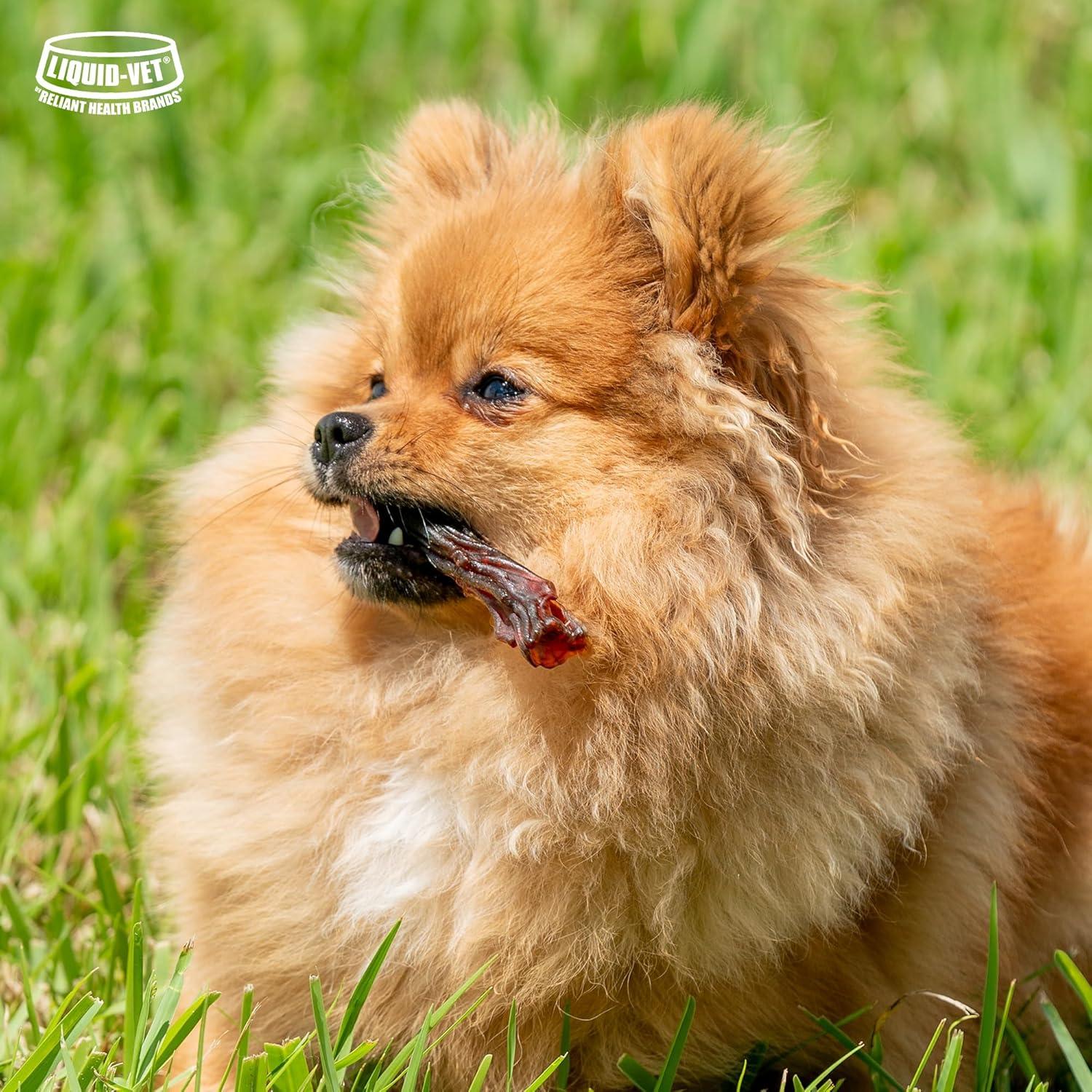 LIQUID-VET Magic-STIX Masticables para Perros Pequeños Sabor Pollo - 30 Unidades