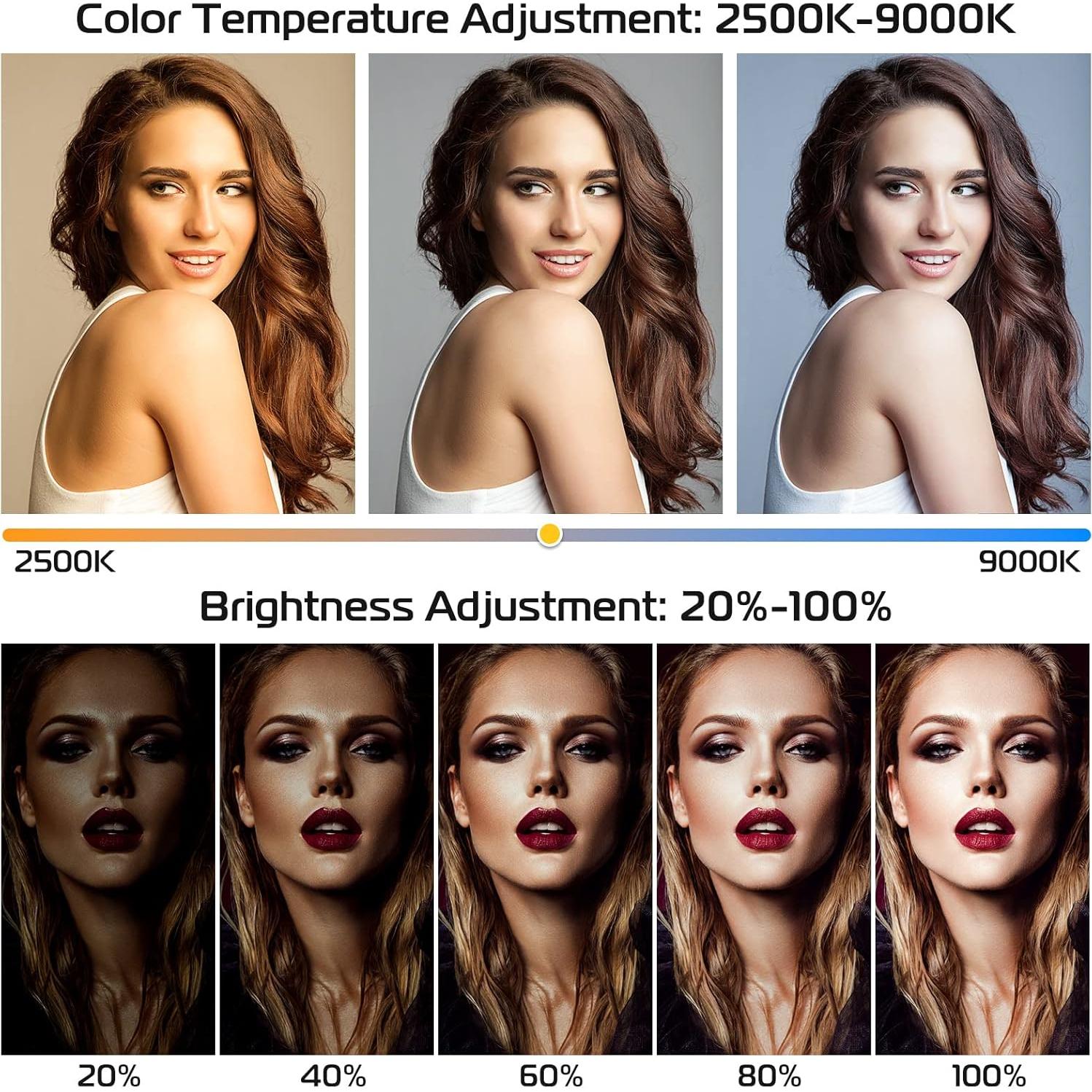 Rig de Video ULANZI U-Rig Light con Luz y Batería 5000mAh