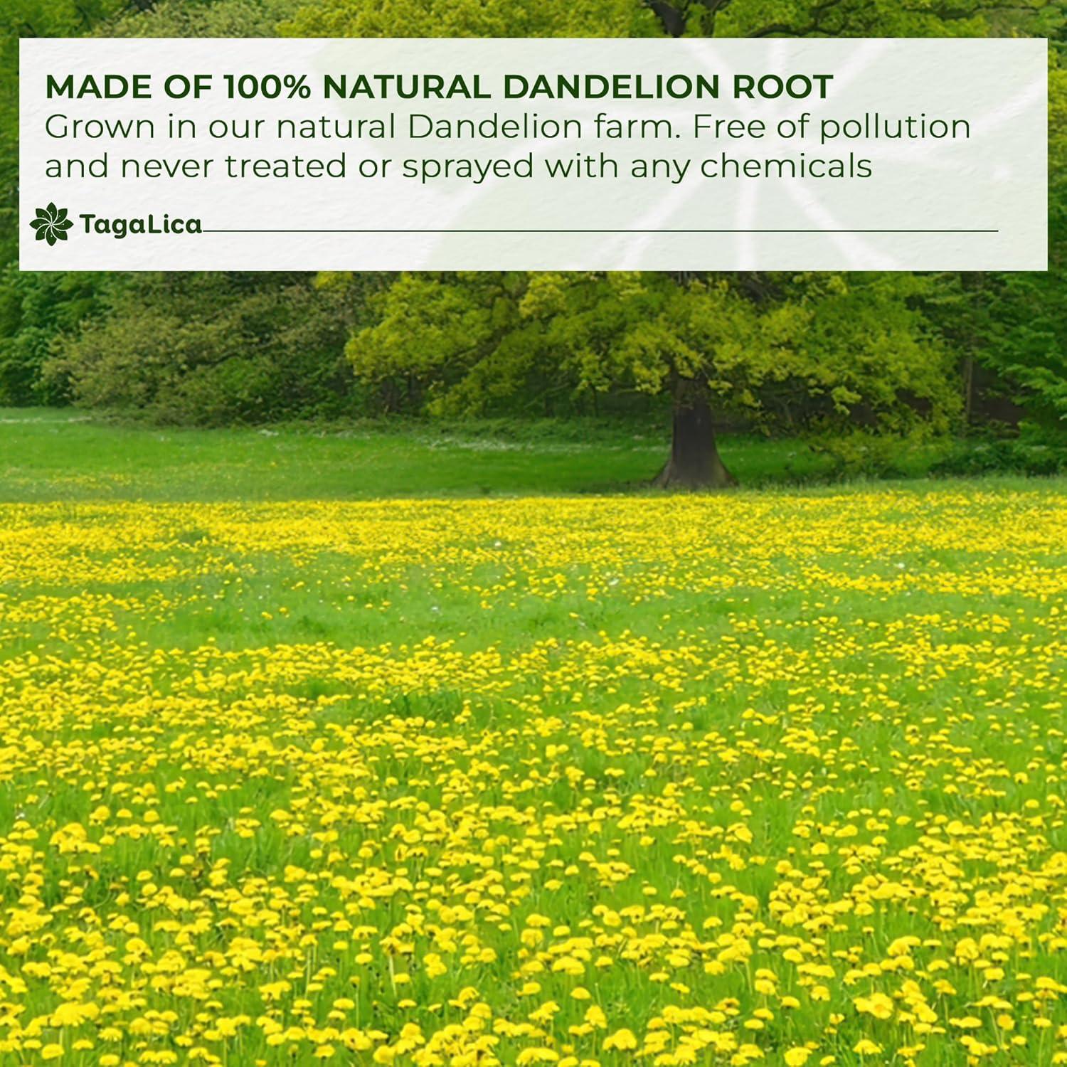 Polvo de Raíz de Diente de León 56.7 g Tagalica 100% Natural