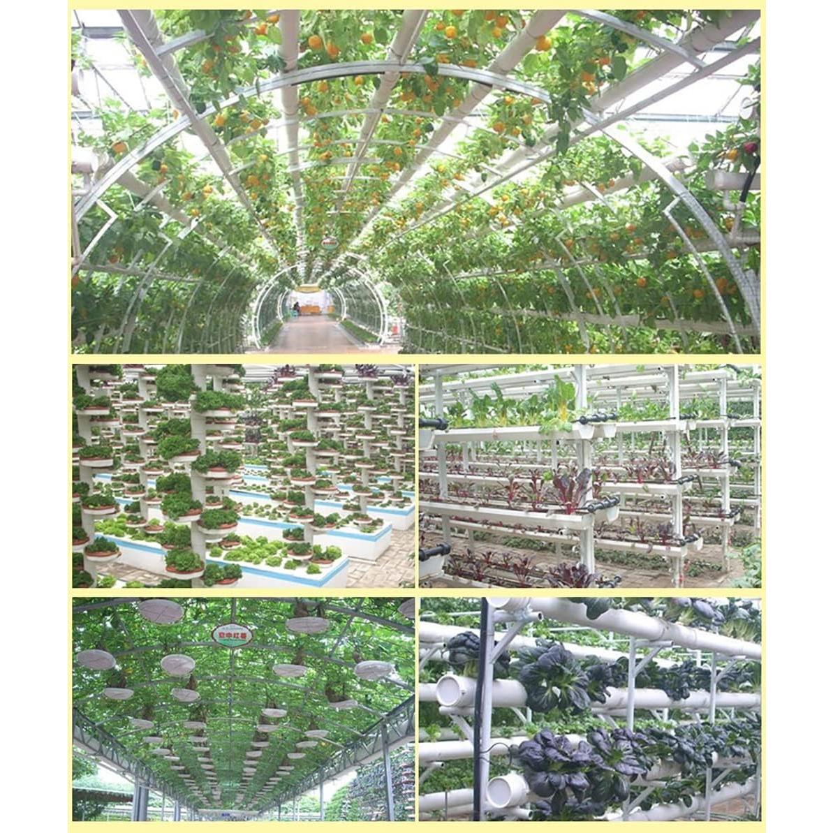 Paquete de 50 tazas de malla plástica QINIZX 4.5 cm negras