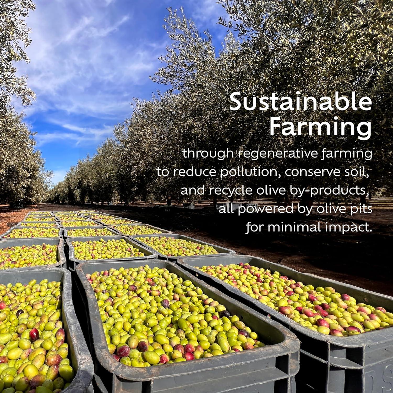 Aceite de Oliva Extra Virgen Orgánico Noor Fès 500ml Picholine