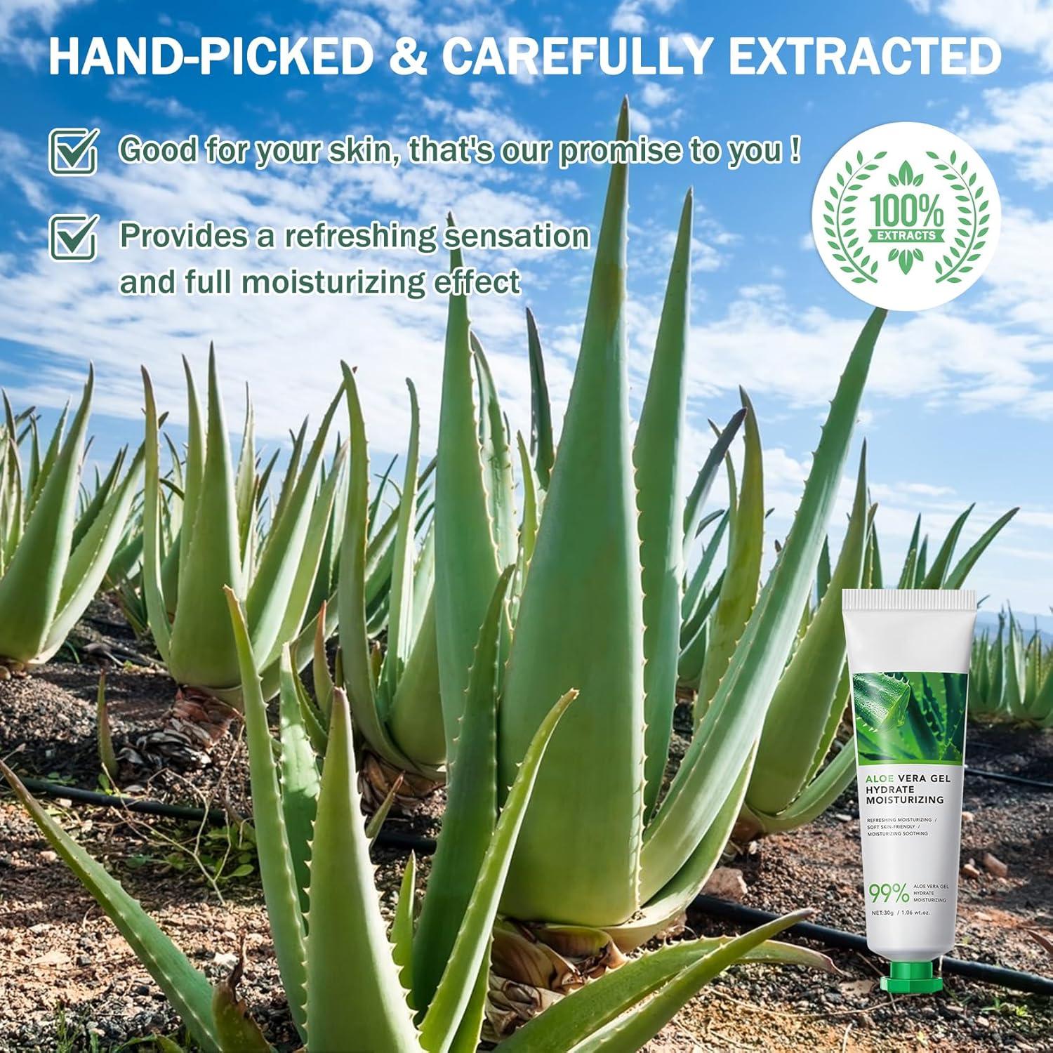 Gel de Aloe Vera Orgánico 16PCS Pura Hidratación Facial y Corporal