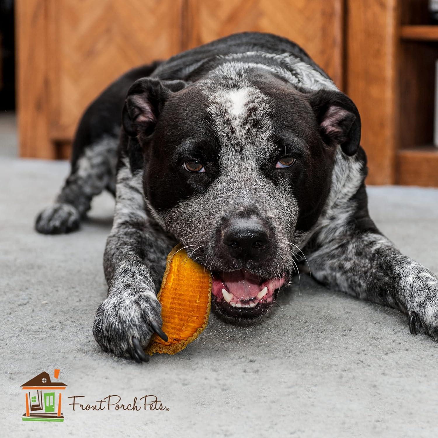 Golosinas para Perros Sam's Yams Big Boyz 425g - Batata Natural