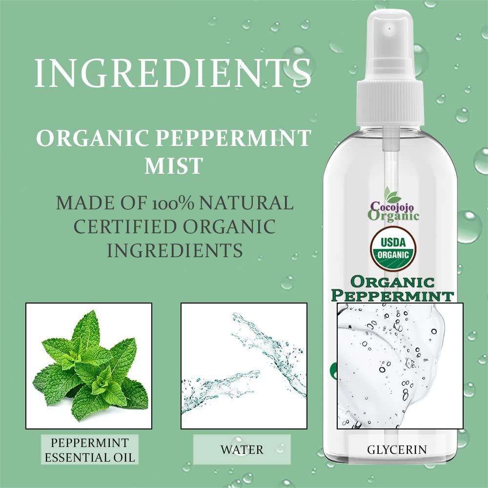 Mist Facial de Menta Orgánica Dr Joe Lab 113.4 ml - Hidratante