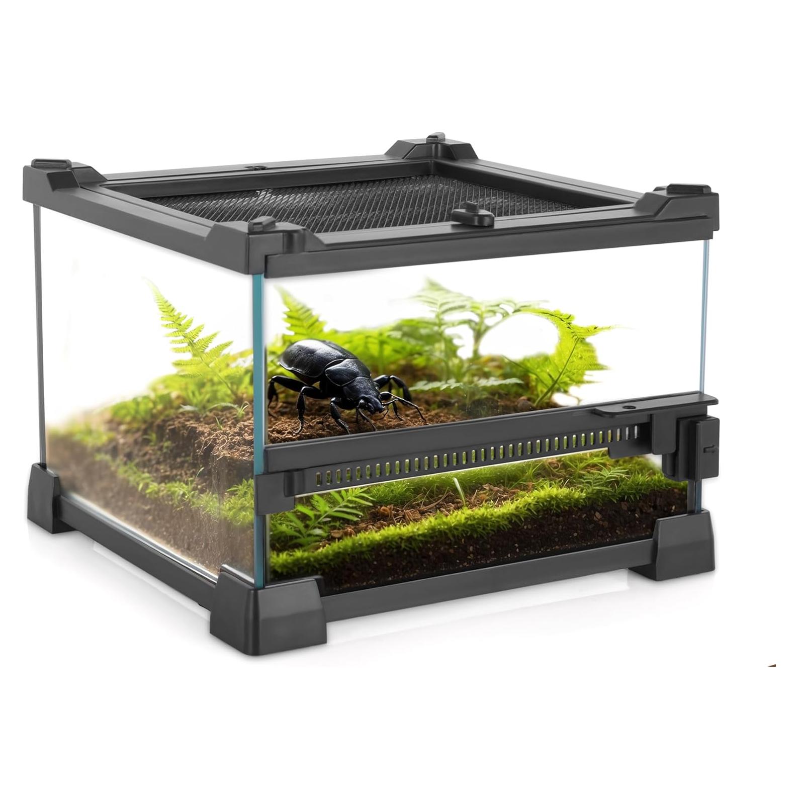 Mini Terrario de Vidrio Neptonion 20.32x20.32x15.24 cm para Reptiles