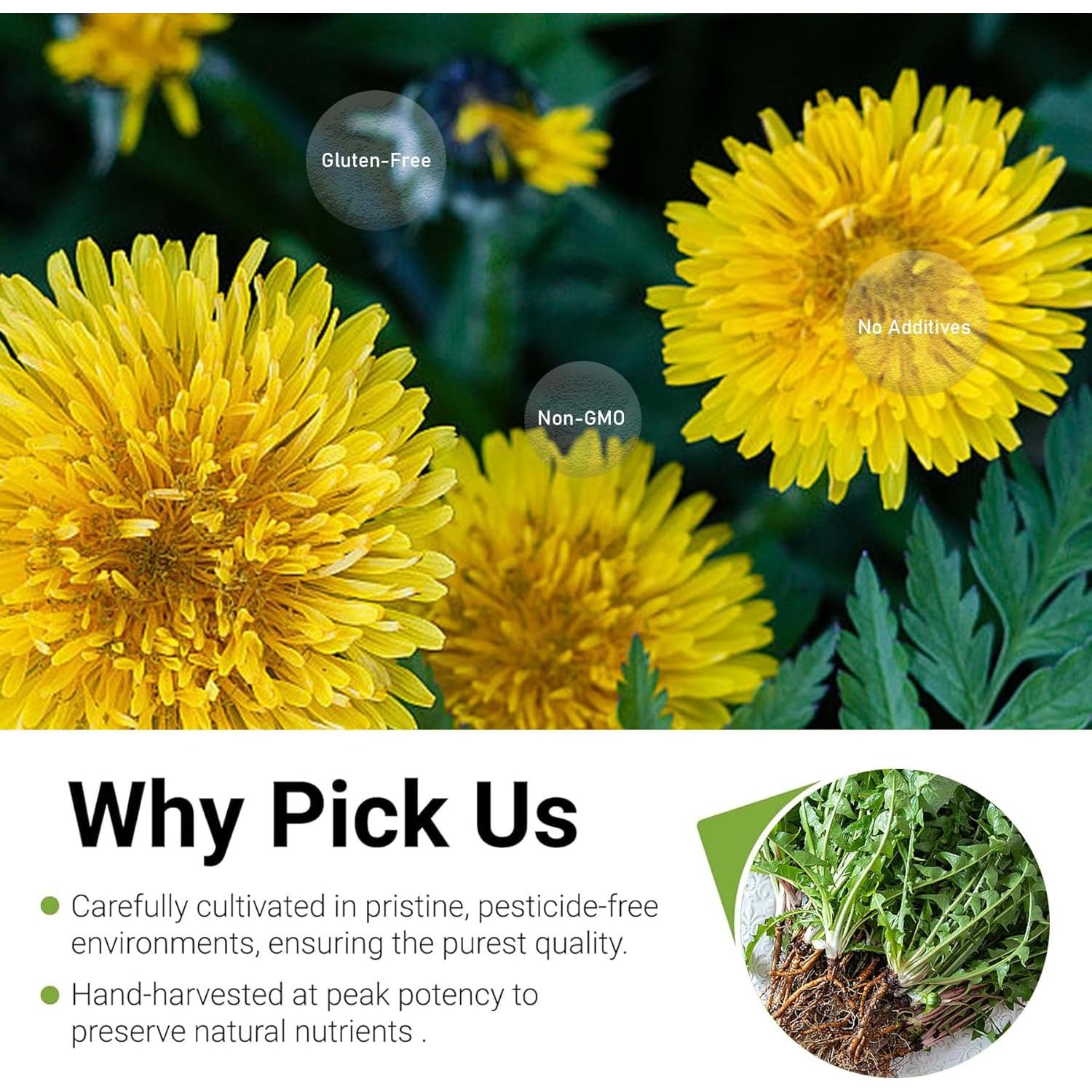 Té Herbal Detox TZTZBOM de Diente de León 50 Bolsas 100g