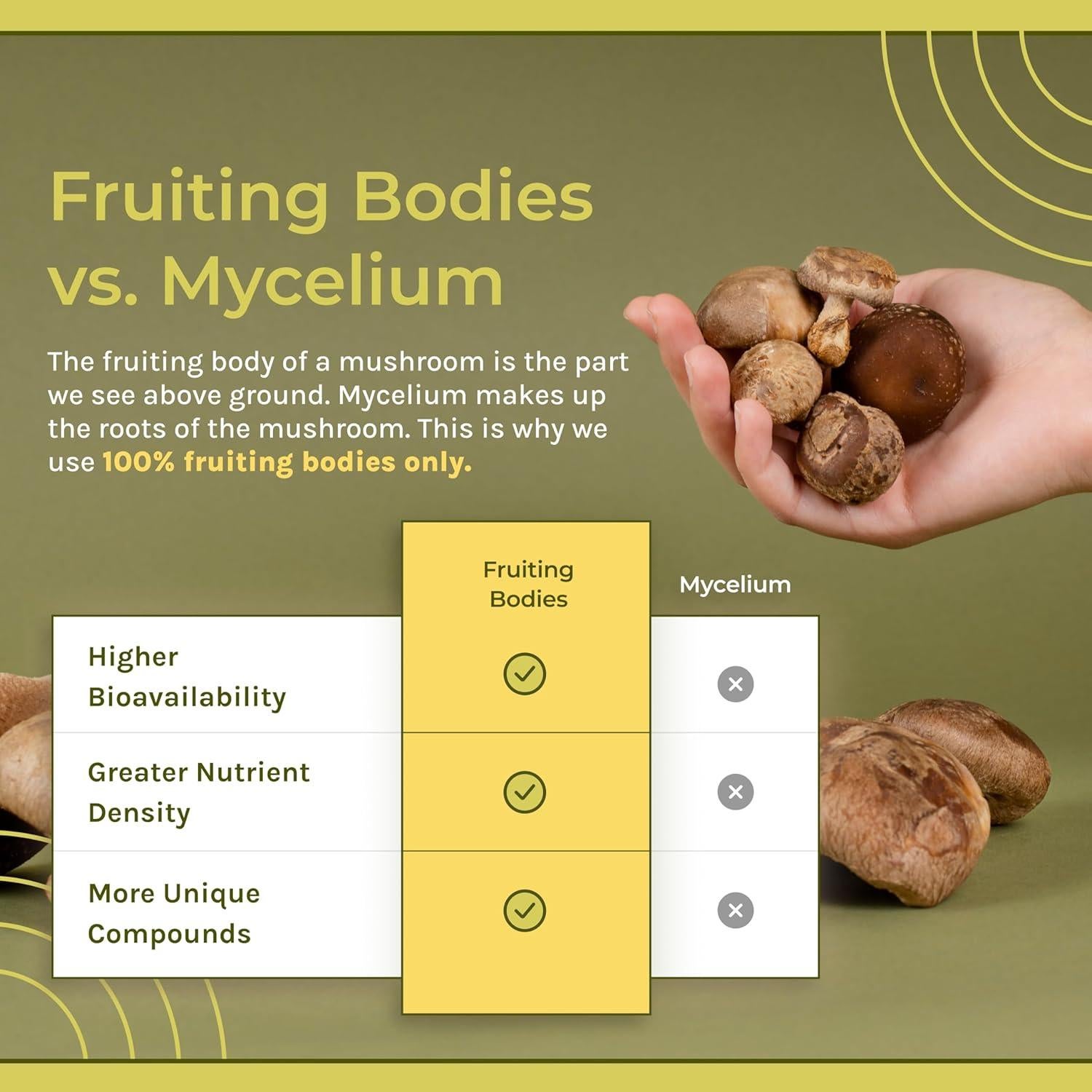 Tintura Líquida de Hongo Chaga Naturealm 50 ml - Vegano, Inmunidad