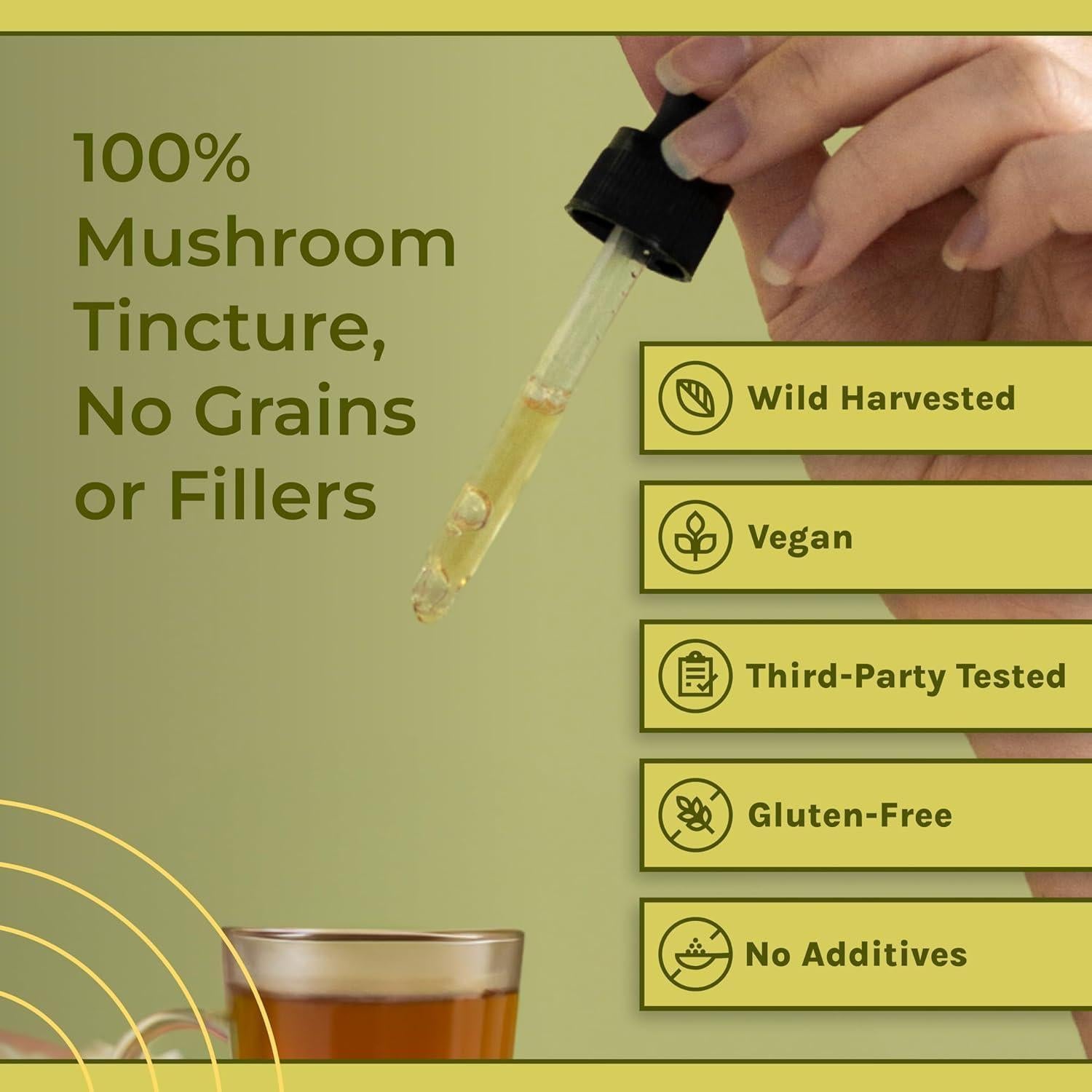 Tintura Líquida de Hongo Chaga Naturealm 50 ml - Vegano, Inmunidad