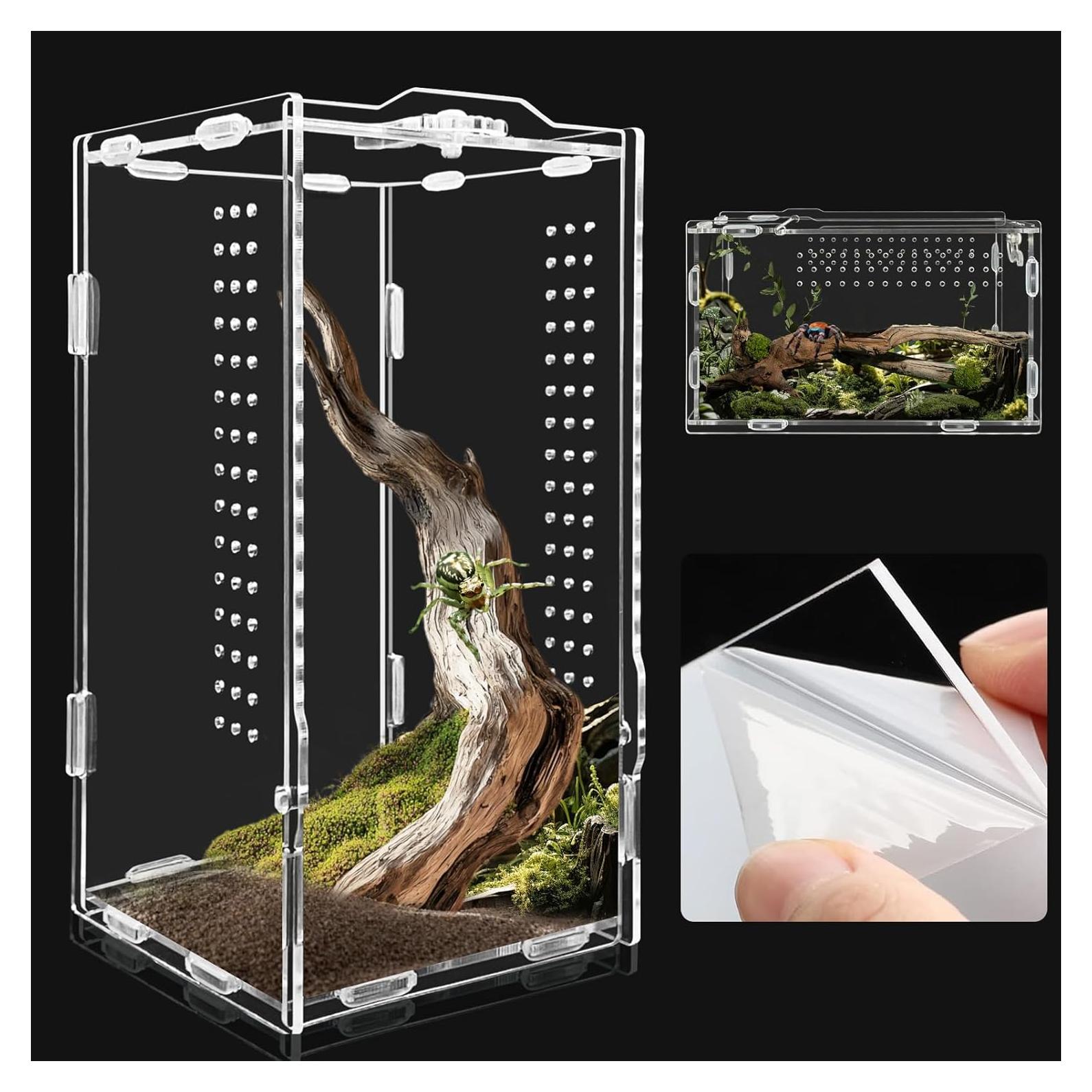 Terrario Acrílico REPTIDLDB para Arañas y Reptiles 15x20x35 cm