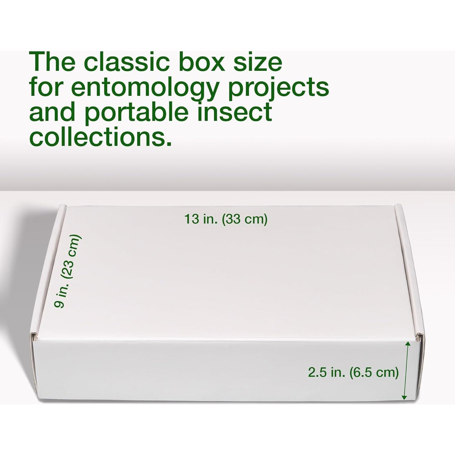 Caja de Clavado de Insectos Making It Work 33x23x6.4 cm